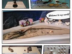 -上海中国航海博物馆