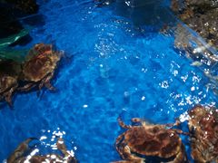 -盒马鲜生(馥邦国际店)