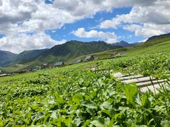 -扁都口生态休闲旅游区