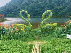 -广州市石门国家森林公园