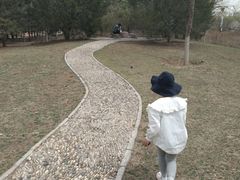 -滨河世纪广场公园
