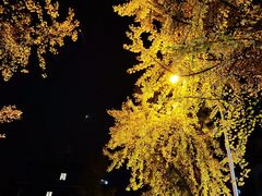 -奎星楼街