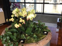 -广州富力君悦大酒店·凯菲厅