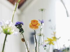 -春树下·树屋花房西餐厅(罍街AS1980店)