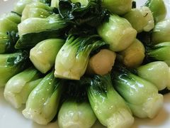 时令蔬菜-王宝和酒家(黄浦店)