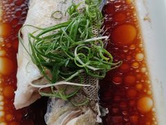 -云中小雅