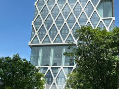 -深圳湾木棉花酒店