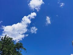-熹悟海鲜火锅·广式打边炉