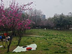 -洨河生态公园
