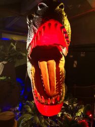 点击看大图 -恐龙探索乐园(磁器口店)