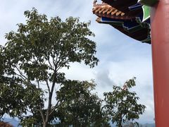 -塔云山