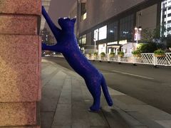 -中海环宇荟
