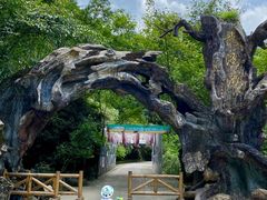 -龙湾潭国家森林公园