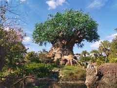 -奥兰多迪士尼动物王国乐园