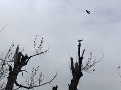 -捞渔河湿地公园
