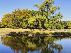 -上海共青森林公园