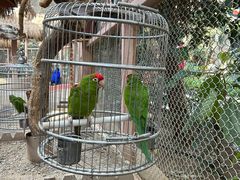 -南宫五洲植物乐园