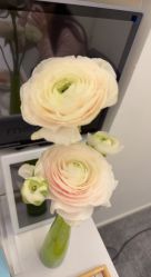 -妈妈时光机医疗产后修复(南山茂业百货店)