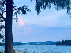-东湖落雁景区