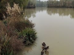 -西安浐灞国家湿地公园