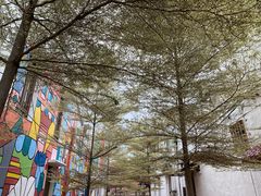 -马六甲鸡场街