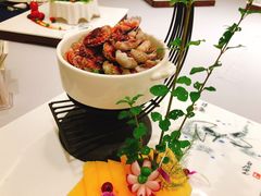 -铂米星座(瑞安店)