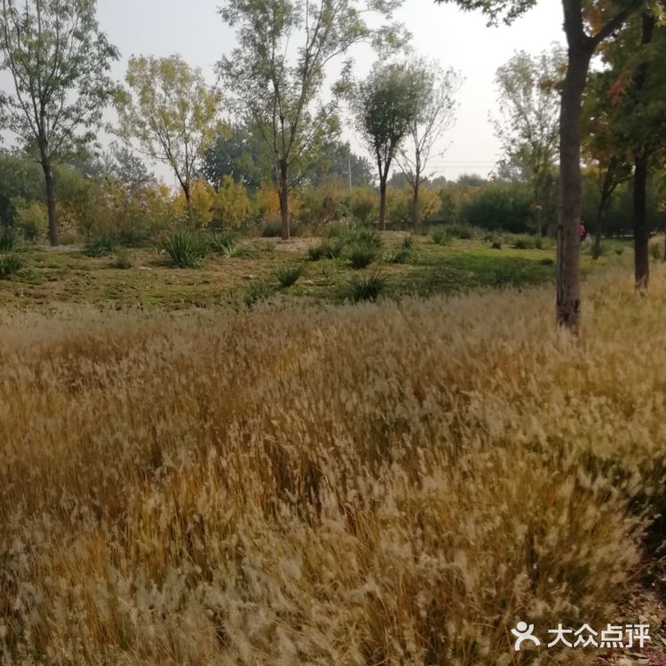 河的东岸新建了一个很大的公园,虽然没有命名