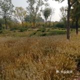 河的东岸新建了一个很大的公园，虽然没有命名