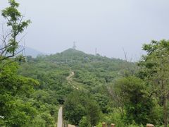 -白水寺森林公园
