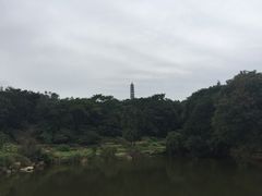 姥山岛-巢湖姥山岛