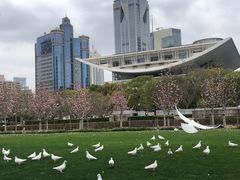 -上海博物馆(人民广场馆)