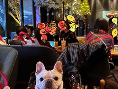 -THE CANNERY&JUJU 新鲜海鲜·牛排美食酒廊