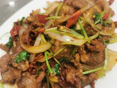 孜然羊肉-回锦轩(泉园店)