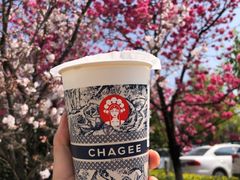 -霸王茶姬(南强街店)