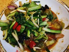 -马五面馆(郦城国际店)