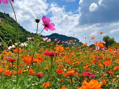 -贵阳市花溪国家城市湿地公园