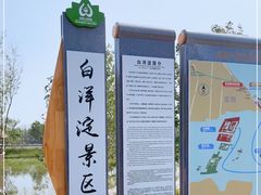 -白洋淀风景区