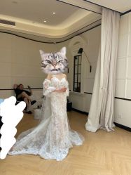 点击看大图 -Bridal Queen·婚纱女皇