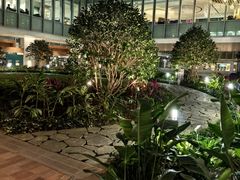 -香港大学