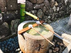 -有栖山 清光院 清水寺