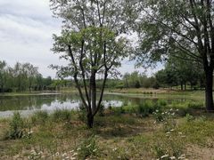 -东郊湿地公园