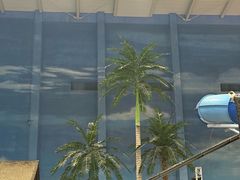 -青岛东方影都融创水世界