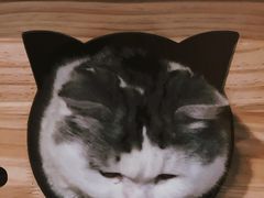 -Mr.Fox狐狸先生超级密室(南山店)