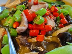 青花椒腐竹煲猪肚-百富源·海鲜辽菜(浑河堡店)