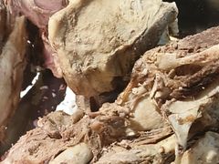 -斯琴阿妈蒙古餐厅(新城店)