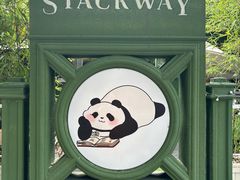 -轩客会(熊猫书店)