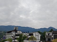 -后柳水乡