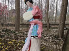 -合肥滨湖国家森林公园