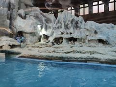 -帝企鹅自助餐厅•儿童岛•真企鹅(长隆企鹅酒店)