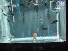 -苏州海洋馆